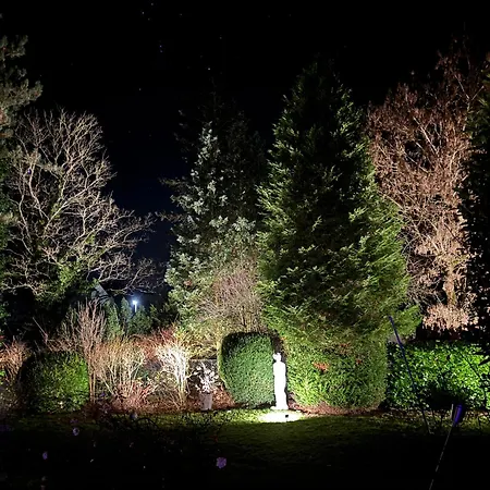Wolkenzimmer Mit 140 Cm Bett Im Erdgeschoss *